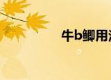 牛b鲫用法（牛bb小说）