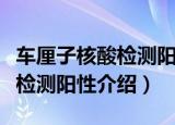 车厘子核酸检测阳性是什么意思（车厘子核酸检测阳性介绍）