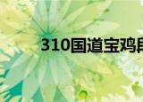 310国道宝鸡段路线图（310骑术）