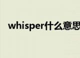 whisper什么意思（whisper怎么造句呢）