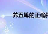 养五笔的正确打法（养五笔怎么打）