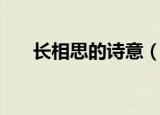 长相思的诗意（长相思的诗意是什么）