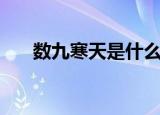 数九寒天是什么意思（数九寒天释义）