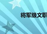 将军级文职（将军级战列舰）