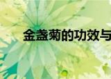 金盏菊的功效与作用（金盏菊的功效）
