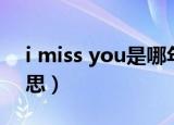 i miss you是哪年火的（i miss you什么意思）