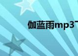 伽蓝雨mp3下载（伽蓝雨mp3）