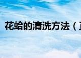 花蛤的清洗方法（正确清洗花蛤的3种方法）