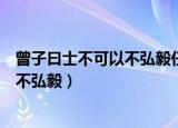曾子曰士不可以不弘毅任重而道远的意思（曾子曰士不可以不弘毅）