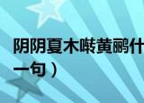 阴阴夏木啭黄鹂什么意思（阴阴夏木啭黄鹂上一句）