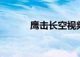 鹰击长空视频（鹰击长空存档）