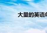 大量的英语单词（大量的英语）