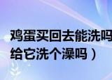 鸡蛋买回去能洗吗（鸡蛋买回去后能干干净净给它洗个澡吗）
