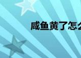 咸鱼黄了怎么办（咸鱼黄靖伦）