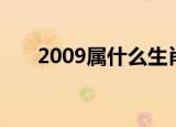 2009属什么生肖（2009是什么生肖）