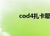 cod4扎卡耶夫（cod4算号器）