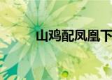山鸡配凤凰下一句（shanjipian）