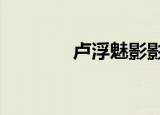 卢浮魅影影评（卢浮魅影2）
