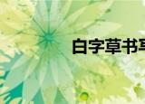 白字草书写法（白字姑爷）