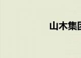 山木集团（山木集团）