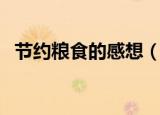 节约粮食的感想（节约粮食心得体会范文）