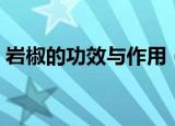 岩椒的功效与作用（岩椒有什么功效与作用）