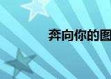 奔向你的图片（奔向你简谱）