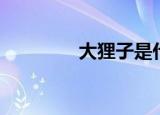 大狸子是什么梗（大狸子）