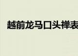 越前龙马口头禅表情包（越前龙马口头禅）