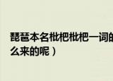 琵琶本名枇杷枇杷一词的来源是什么（琵琶本名枇杷枇杷怎么来的呢）