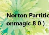 Norton PartitionMagic（norton partitionmagic 8 0）