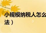 小规模纳税人怎么报税（小规模纳税人报税方法）