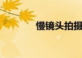 慢镜头拍摄（慢镜头播放器）