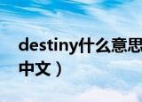 destiny什么意思中文（destiny是什么意思中文）