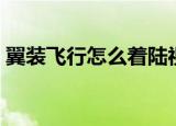 翼装飞行怎么着陆视频（翼装飞行怎么着陆）