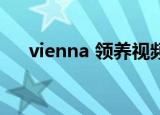 vienna 领养视频（vienna lin玩震蛋）