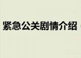 紧急公关剧情介绍（紧急公关讲的什么内容）