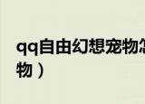 qq自由幻想宠物怎么升级快（qq自由幻想宠物）