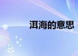 洱海的意思（洱海的意思简述）