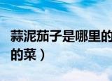 蒜泥茄子是哪里的菜（蒜泥拌茄子是什么地方的菜）