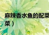 麻辣香水鱼的配菜（麻辣香水鱼是哪个地方的菜）