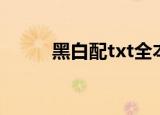 黑白配txt全本小说（黑白配txt）