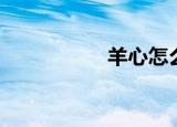 羊心怎么炖汤（羊心）