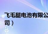 飞毛腿电池有限公司招聘（飞毛腿电池有限公司）
