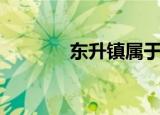 东升镇属于哪个区（东升镇）