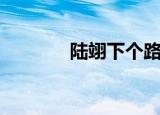 陆翊下个路口见（陆翊野花）
