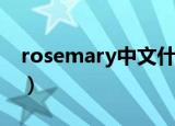 rosemary中文什么意思（rosemary的意思）