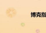 博克指纹锁（博克）