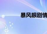 暴风眼剧情介绍（暴风武林）