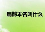 扁鹊本名叫什么（关于扁鹊的原名介绍）